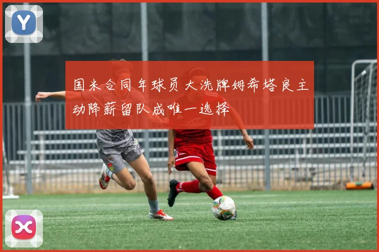 国米合同年球员大洗牌姆希塔良主动降薪留队成唯一选择