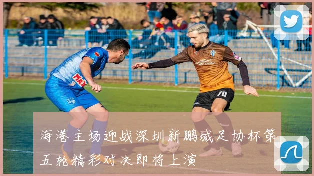 海港主场迎战深圳新鹏城足协杯第五轮精彩对决即将上演